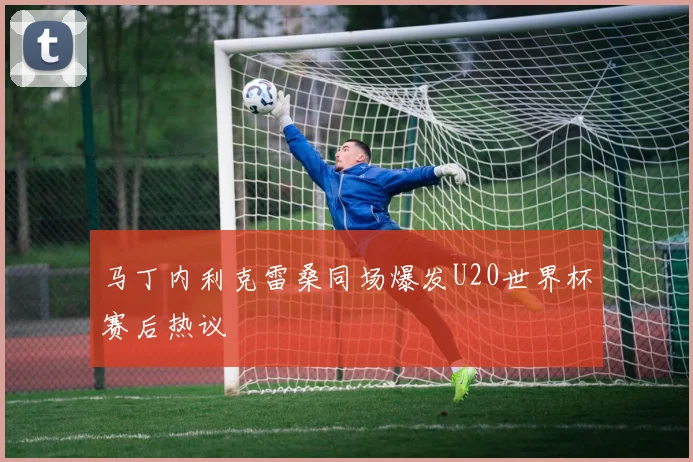 马丁内利克雷桑同场爆发U20世界杯赛后热议