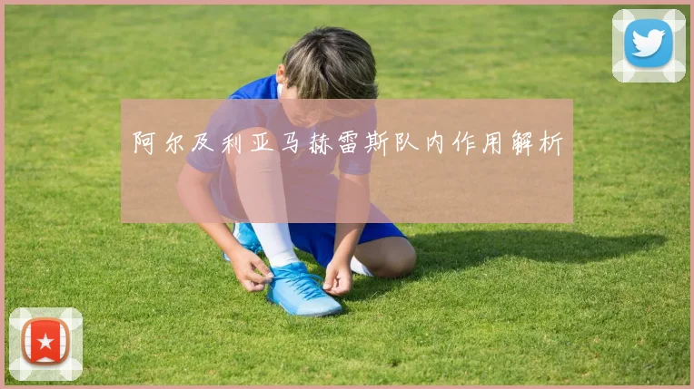 阿尔及利亚马赫雷斯队内作用解析