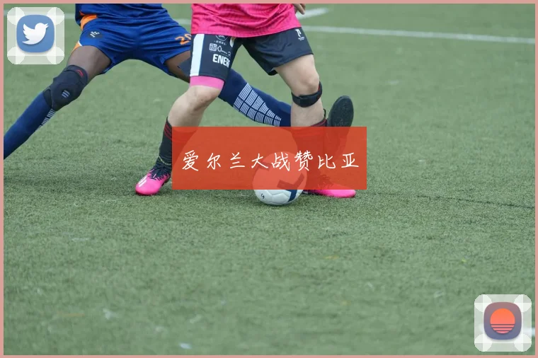 爱尔兰大战赞比亚