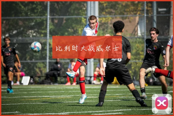 比利时大战威尔士