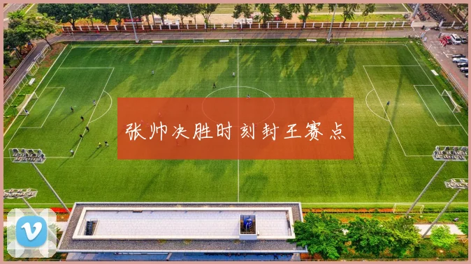 张帅决胜时刻封王赛点