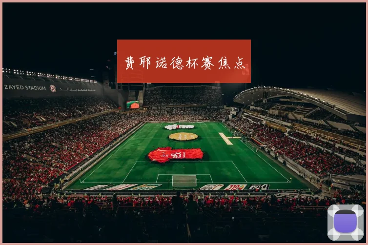 费耶诺德杯赛焦点