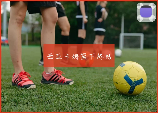 西亚卡姆篮下终结