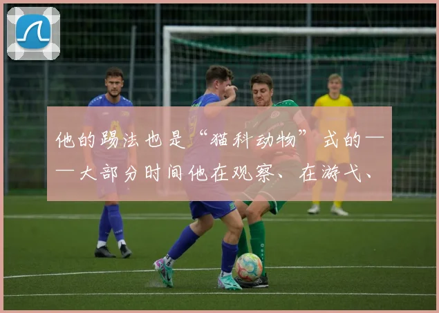 他的踢法也是“猫科动物”式的——大部分时间他在观察、在游弋、在寻找防线的结构性裂缝