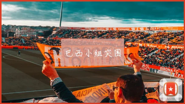 巴西小组突围