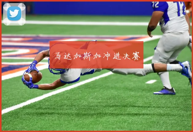 马达加斯加冲进决赛