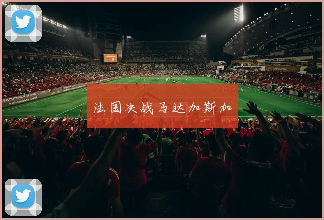 法国决战马达加斯加