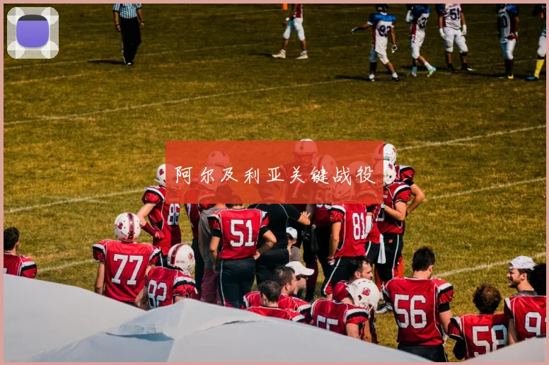 阿尔及利亚关键战役