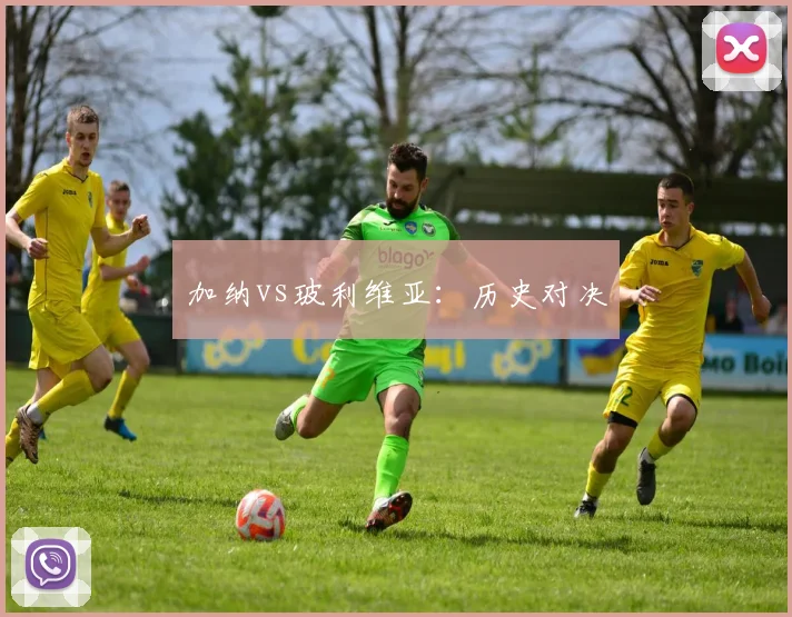 加纳vs玻利维亚：历史对决