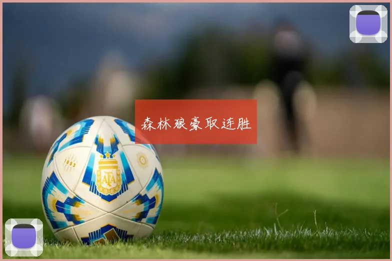 森林狼豪取连胜