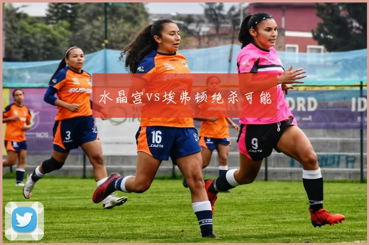 水晶宫vs埃弗顿绝杀可能